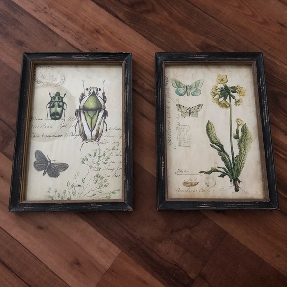 Cost Plus World Market Wall Decor | World Market Beetle Floral Garden